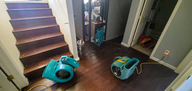 Best Water damage contractors near me  in Bude, MS