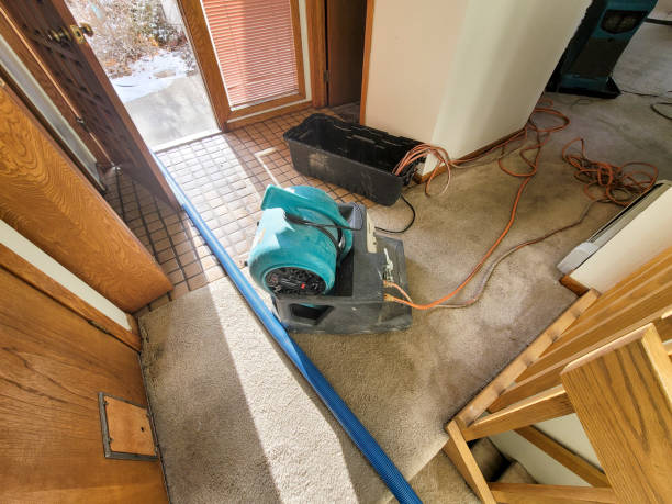 Best Local water damage restoration  in Bude, MS