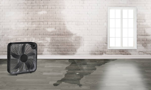 Best Fire Damage Restoration  in Bude, MS
