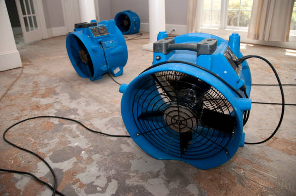 Best Ceiling water damage repair  in Bude, MS