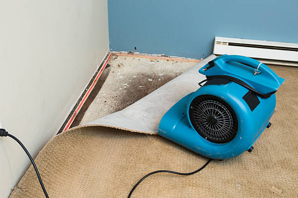 Best Water damage restoration near me  in Bude, MS